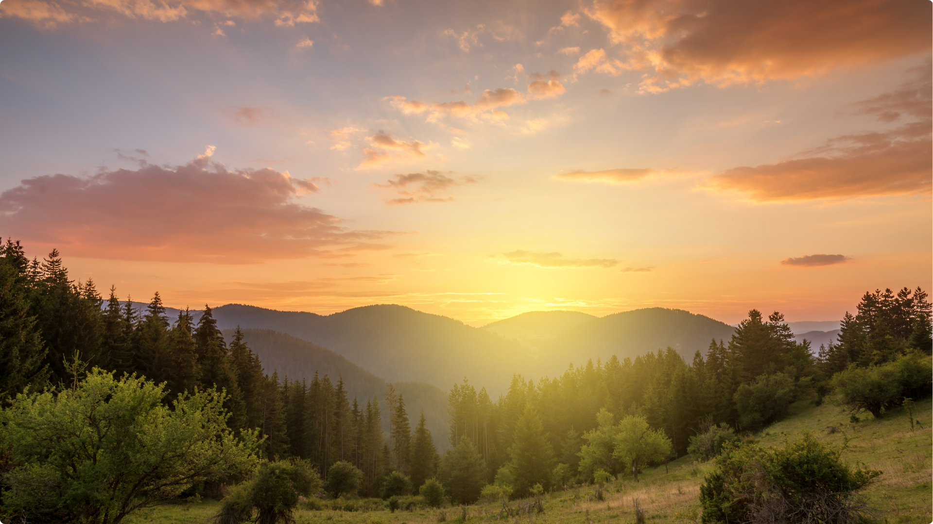 Cópia de Apresentação 3W Gestão e Sustentabilidade (15)