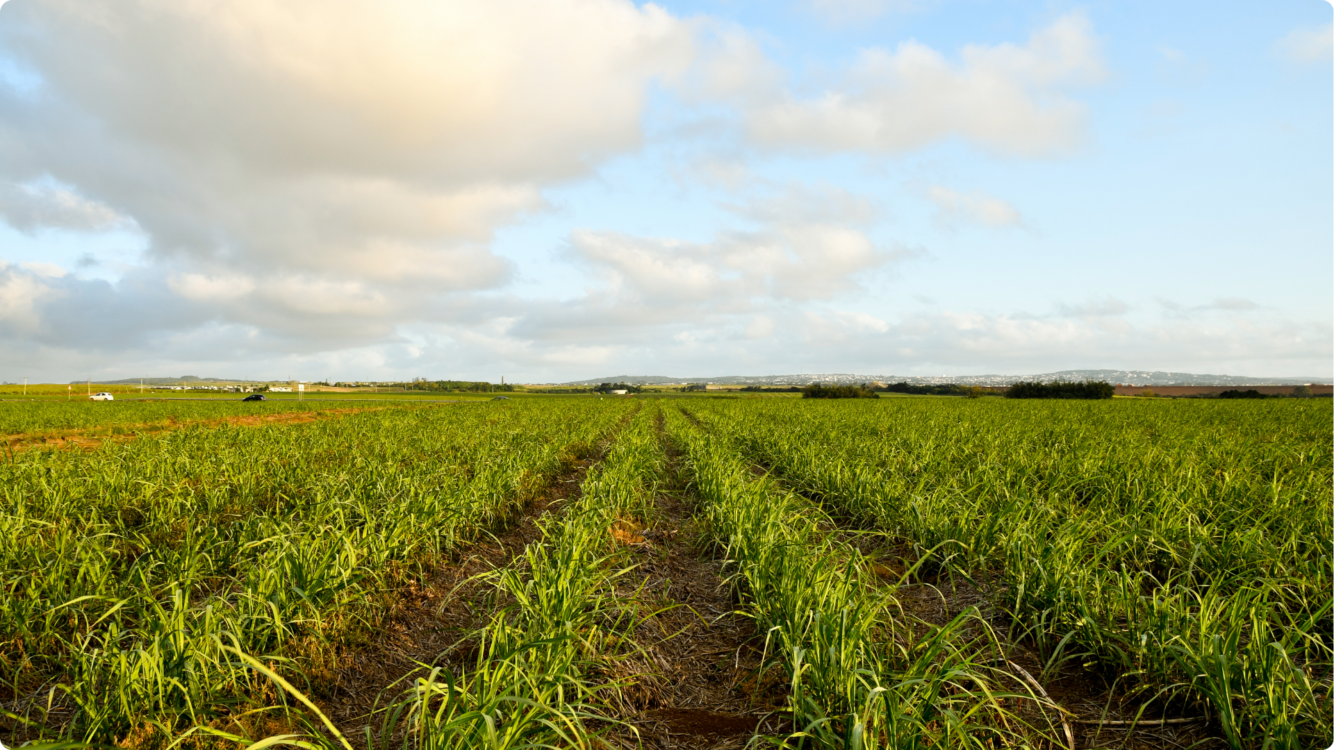 Cópia de Apresentação 3W Gestão e Sustentabilidade (5)