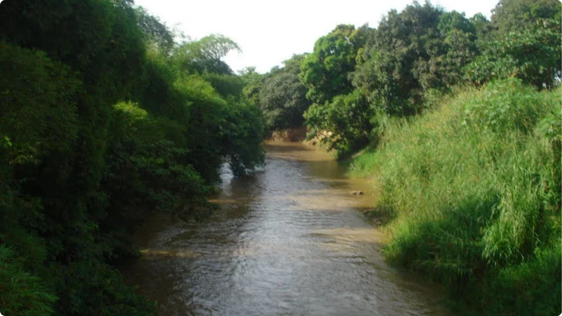 Cópia de Apresentação 3W Gestão e Sustentabilidade (6)